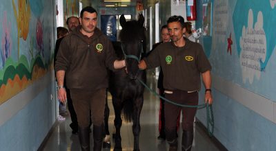 I cavallini di Monterufoli fanno visita ai piccoli pazienti del Dipartimento Materno Infantile grazie al Reparto Carabinieri Biodiversità di Siena: è la prima volta in un ospedale toscano